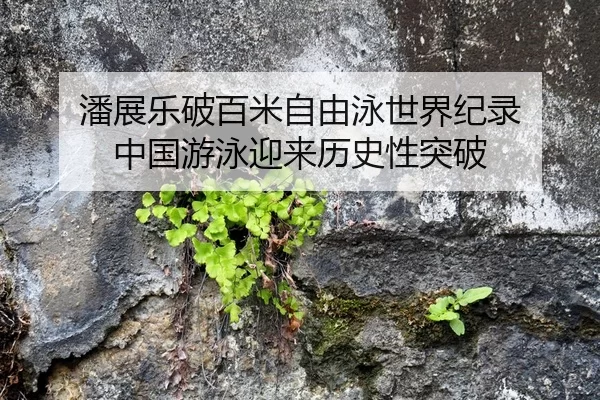 潘展乐破百米自由泳世界纪录 中国游泳迎来历史性突破