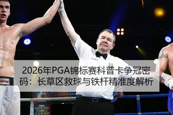 nian-jin-biao-sai-ke-pu-ka-zheng-guan-mi-ma-zhang-cao-qu-jiu-qiu-yu-tie-gan-jing-zhun-du-jie-xi-3-294.jpg